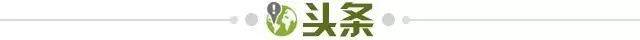 开云体育官方网-【早报】饮恨亚冠8强！C罗比山东泰山先出局